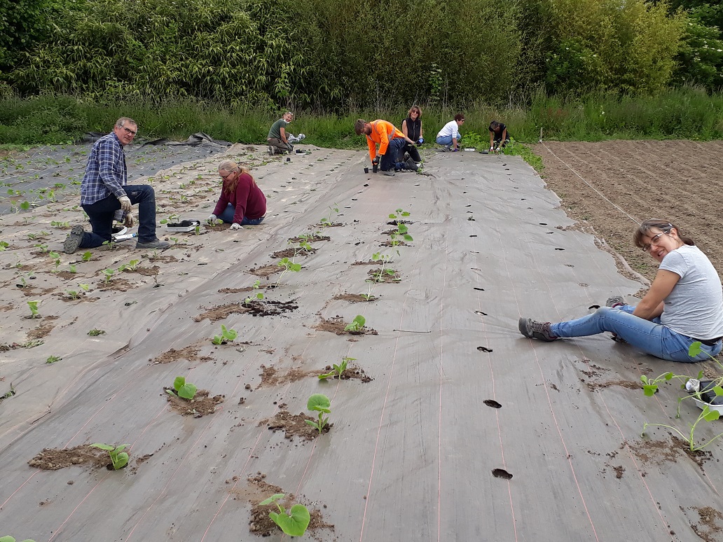 Chantier participatif 30 mai 2020